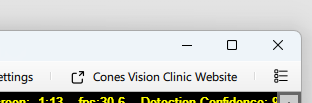 BlinkEasy toolbar with a link to a sample clinic website