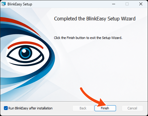 Completed BlinkEasy Setup Wizard with an arrow pointing to Finish.