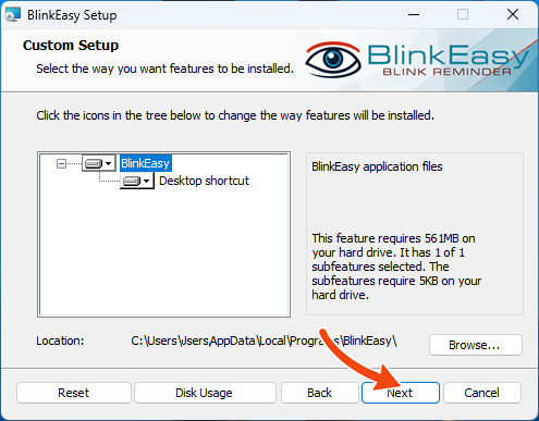 BlinkEasy Custom Setup screen showing the installation options and an arrow pointing to Next.