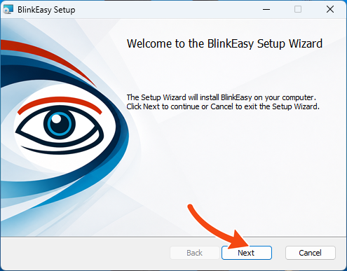 BlinkEasy Setup Wizard welcome screen with an arrow pointing to the Next button.